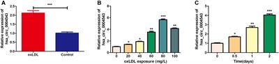 Downregulation of hsa_circ_0004543 Activates oxLDL-Induced Vascular Endothelial Cell Proliferation and Angiogenesis